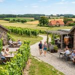 10 Vingårde og Mikrobryg­gerier i Danmark Værd at Køre en Omvej For